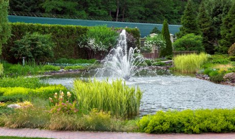 Aménagement d'un jardin méditerranéen avec oliviers à Saint-Martin-d'Hères
