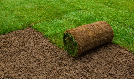 Plantation de gazon naturel par un paysagiste à Grenoble